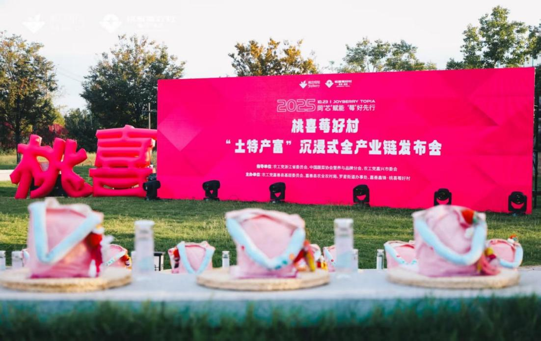 1762251151595390.png 图片1.png