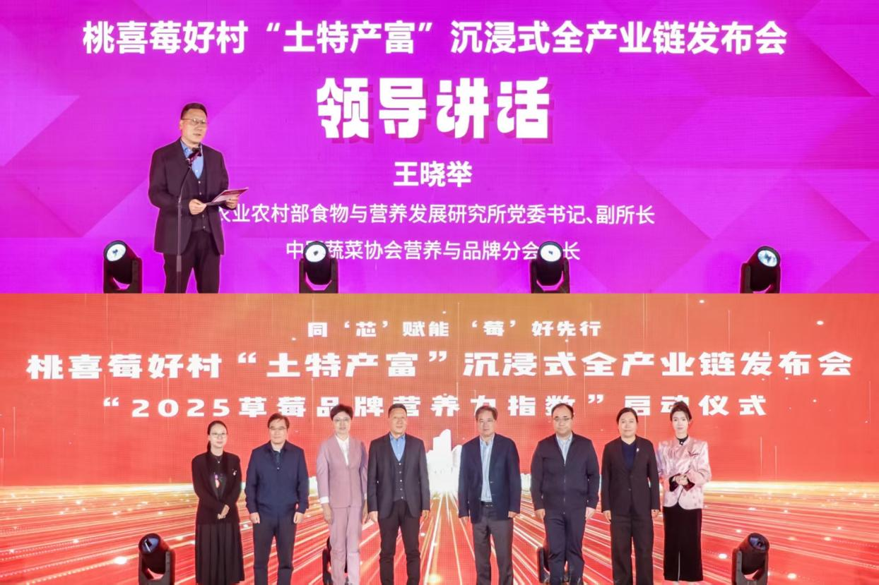 1762251258252438.png 图片4.png